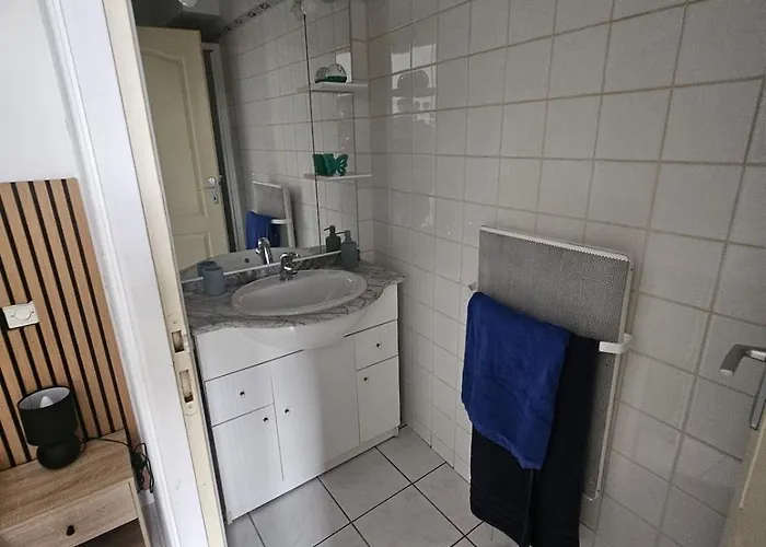 F2 Avec Jardin Apartment Nemours